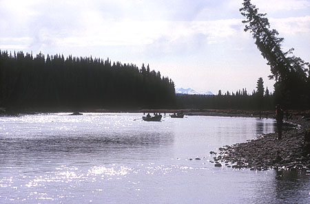 Kasilof River