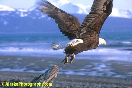 Alaska Photos, Alaska Photography, Alaska Stock, Alaska Slide Show
