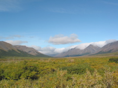 IMG_0896.JPG