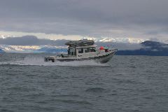 Img_1886.jpg copy