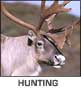 Hunting in Alaska