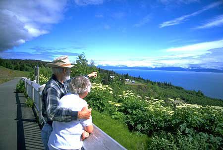 Homer Lookout