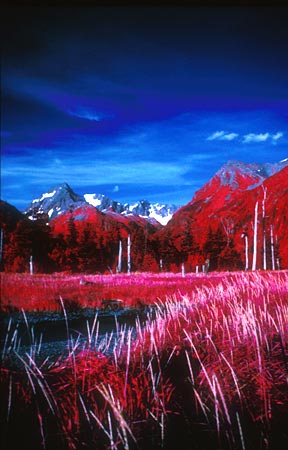 alaska photo