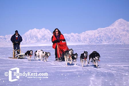 alaska dogsledding, mushing