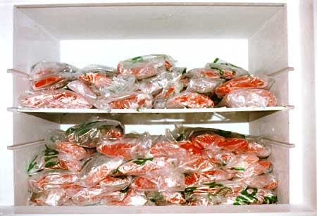 Photo, alaska slides, alaska fishing, alaska fish, fish, freezer