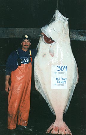 Alaska Fishing, halibut fishing