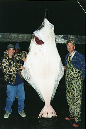 Alaska Fishing, Halibut fishing