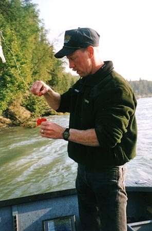 Alaska Fishing, Salmon Eggs