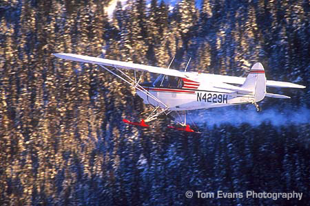 alaska photo