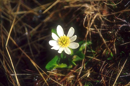 alaska photo