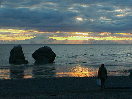 Clam gulch alaska deals