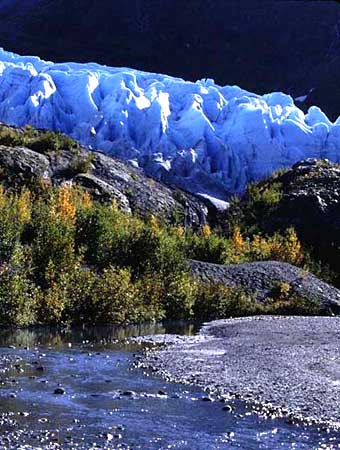 Glacier