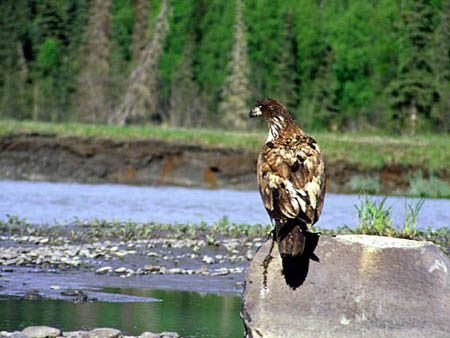 Alaska Photos, Alaska Photography, Alaska Stock, Alaska Slide Show